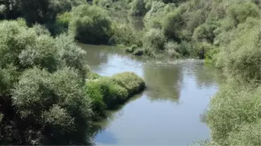 Kütahya gündem: Simav Çayı'ndaki kirlilik ve kokuya tepki