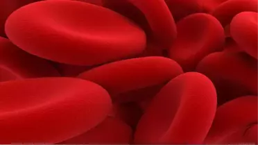 Eğer bu kan grubuna sahipseniz yaşadınız! Özelliğini duyunca kan testine koşacaksınız