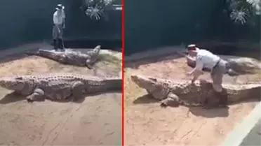 Timsaha at gibi binen adam neye uğradığını şaşırdı! İzleyenlerin yürekleri ağızlarına geldi