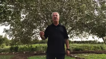 Sedat Bucak: Aktif siyaseti bıraktım