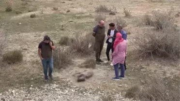 Van'da nesli tükenme tehlikesi altındaki çizgili sırtlan vurulmuş olarak bulundu
