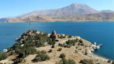 AKDAMAR ADASI'NDA 'TAVŞAN' ZARARI