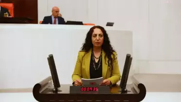 Hdp'li Işık'tan Bakan Kirişci'ye: 'Van'da Tüm İlçelerde ve Mahallelerde Halk Ekmek Dağıtımı Ne Zaman Yapılacaktır?'