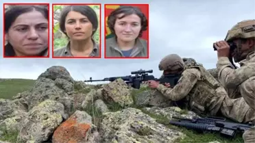 Turuncu ve gri kategorilerde aranan 3 PKK'lı terörist Diyarbakır'da etkisiz hale getirildi