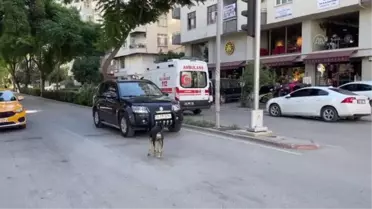 Zincirleme trafik kazasında motosiklet sürücüsü yaşamını yitirdi