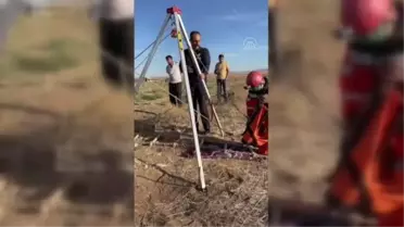 Konya'da obruğa düşen koyun itfaiye ekiplerince kurtarıldı