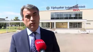 Yerli şeker pancarı tohumunda hedef ihracat