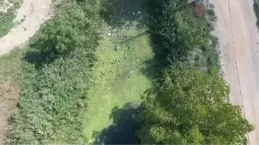 Edirne'de vatandaşlar çöple kaplanan derenin temizlenmesini istiyor