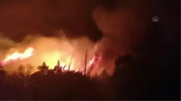 Adıyaman'da çıkan orman yangınına müdahale ediliyor