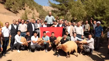 Şampiyon pehlivanlar omuzlarla taşındı, koçlar kesildi