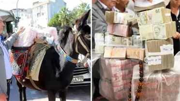 Çanakkale'de katırla 1 milyon 17 bin lira getiren güreş ağası, parayı belediye başkanına teslim etti
