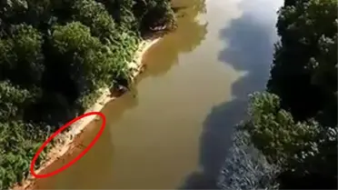 ABD'de korkunç görüntü! Kurban edilen keçiler, nehri kırmızıya boyadı