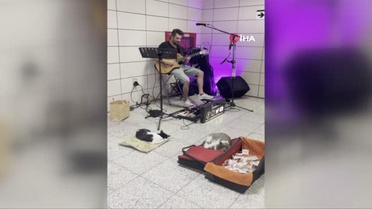 Marmaray İstasyonunu mesken tutan sevimli kedilerin müzik keyfi