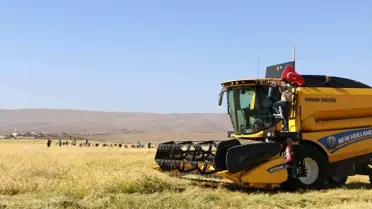 Taşlı arazilerde yetişen tescilli Karacadağ Pirincinin hasadı başladı