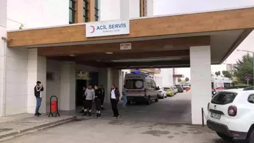 Son dakika haberi... Karaman'da çobanların üzerine yıldırım düştü: 1 ölü, 1 yaralı