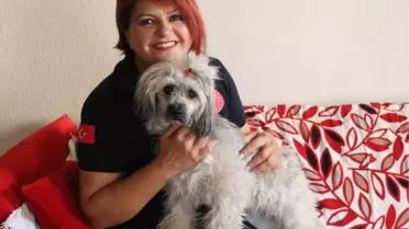 Son dakika haberleri! AMBULANS HEMŞİRESİ, KARAVANLA KAZA YAPAN ÇEKYALI ÇİFTİN KÖPEĞİNE SAHİP ÇIKTI