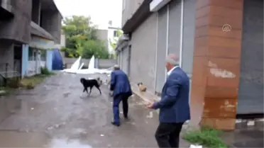 Muş haberi... Bulanık'ta sahipsiz hayvanlarının beslenme alanlarına mama bırakıldı