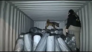 Meksika'dan Ambarlı Limanı'na gelen gemide 1.5 ton uyuşturucu ele geçirildi