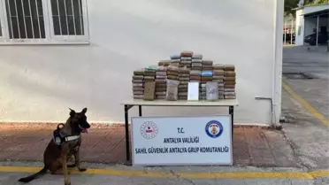 Antalya haber | Antalya'da yabancı bandıralı gemide 183 kilo 738 gram kokain ele geçirildi