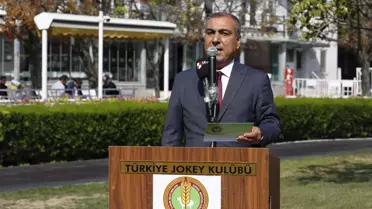 Şampiyon atın 2 yavrusu, rekor fiyatla satıldı