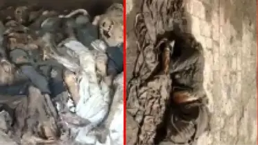 Pakistan'da hastane çatısında korkunç görüntüler! Çürümeye yüz tutmuş cesetler ve insan parçaları bulundu