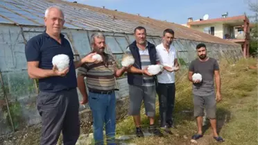 SERİK'TE DOLU, TARIM ALANLARINI VURDU