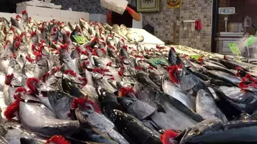 Balıkçılar palamutun ardından hamsinin yolunu gözlüyor