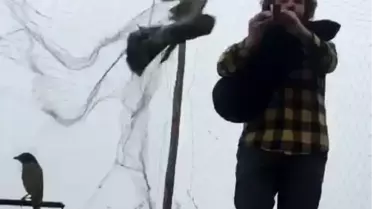 Tulum çaldığı sırada ağlarına atmaca takıldı