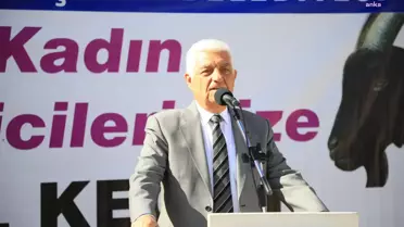 Muğla haber | Muğla Büyükşehir'den Yatağan'a Kıl Keçisi Desteği