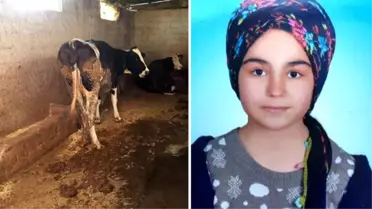 Adana'da 15 yaşındaki Nursel, süt sağmaya gittiği ahırda elektrik akımına kapılarak can verdi