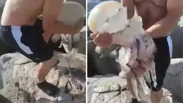 Ahtapot zannettiği dev deniz anasını kucağına alan adam hatasının bedelini ağır ödedi