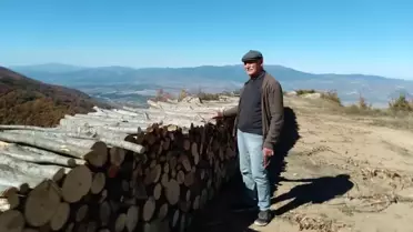 Ormanlarda Ağaç Kesimi Arttı. Vatandaş: 'Ormanı Devletten Korumak Gerekiyor'