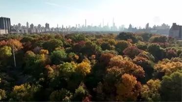 Central Park'ta sonbahar renkleri