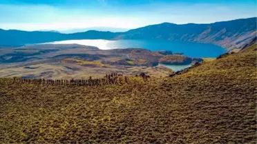 Fall at Nemrut Crater Lake