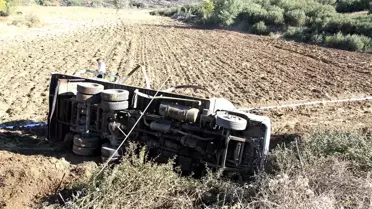 Kontrolden çıkan süt kamyoneti tarlaya uçtu: 1 yaralı