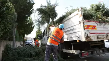 Nilüfer'de Bahçe ve Budama Atıkları Kompost Oluyor