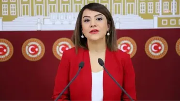 Gamze Taşcıer'den Bakan Kasapoğlu'na: 'Bütçede Gençliğe Ayrılan Pay Sadece 1,88 Milyar Lira. Ankapark'ta Dinozorlara Verdiğiniz Değeri Gençlere...