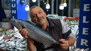 Sinop'ta 5-7 kilogram arası torikler 700 TL