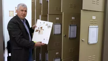Trakya Üniversitesindeki herbaryum 25 binden fazla bitki örneğiyle rehber oluyor
