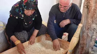 Eskişehirli kadın çiftçi ata tohumuyla kuru fasulye üretiyor
