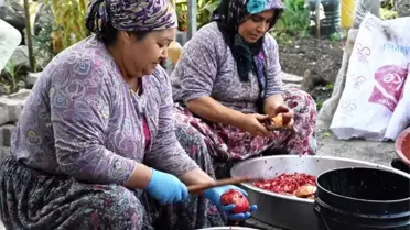 Narıyla meşhur Çıtak köyünde hasat bitti, nar ekşisi yapımı başladı