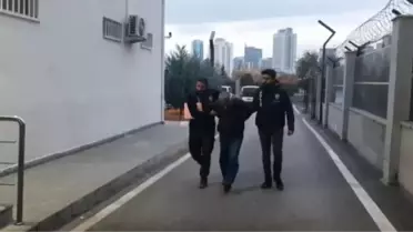 Terör örgütü DEAŞ'a yönelik operasyonda 12 kişi yakalandı