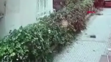 KIZ BEBEĞİ POŞETE KOYUP APARTMANDAN ATTIKLARI İDDİA EDİLEN 3 ŞÜPHELİ ADLİYEDE