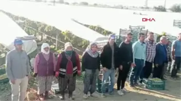 ÜZÜM KESİMİNİ BIRAKIP ATA'YA SAYGI DURUŞUNDA BULUNDULAR