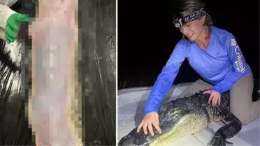 Yılanın karnından çıkardığı timsah gündem olmuştu! Kadın bilim insanı konuştu