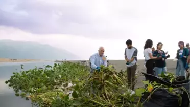 'SU SÜMBÜLÜ BÜYÜK FELAKETLERE YOL AÇAN TÜR, BİYOÇEŞİTLİLİĞİ YOK EDEBİLİR'