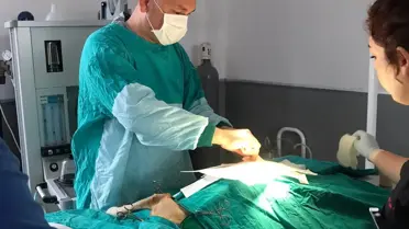 İzmir'de otomobilin çarptığı yaralı çakal, tedavi altına alındı
