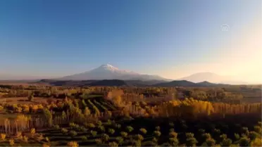 İrem Bağları'nda sonbahar renkleri FPV dron ile görüntülendi