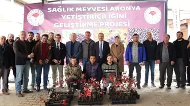 İznik'in bereketi, sağlık meyvesi aronya ile buluşuyor