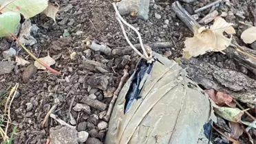 İçişleri: Şırnak'ta 'Eren Abluka Sonbahar-Kış-14 Operasyonu' başlatıldı